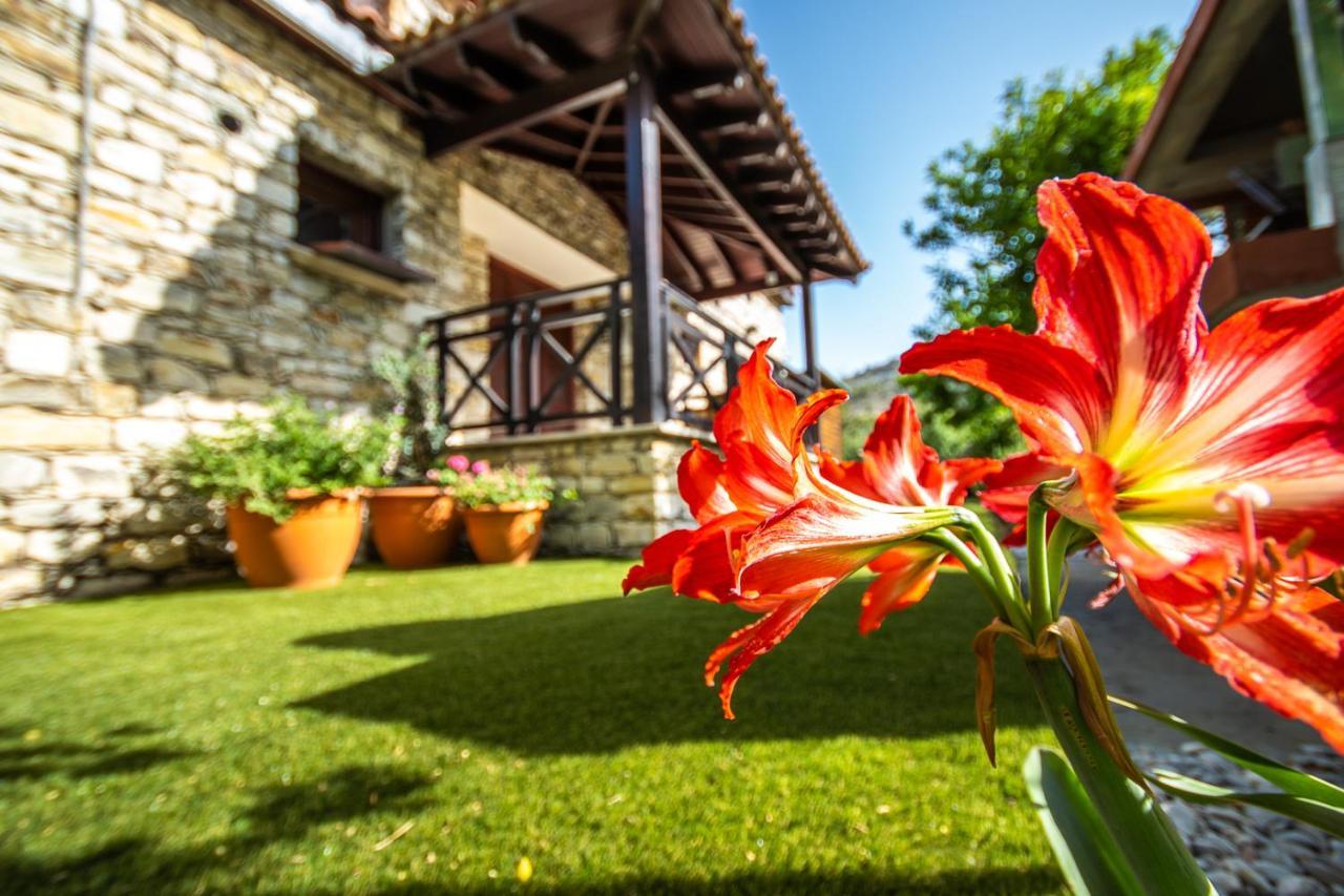 Lefkara Villa Kato Lefkara Eksteriør billede